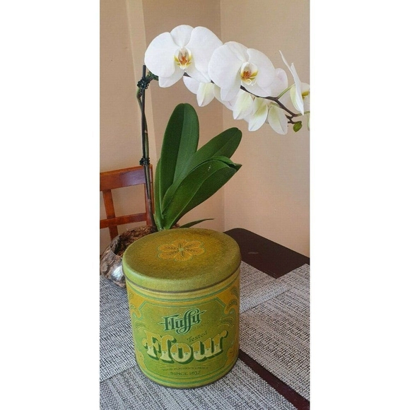 4 Pc Vintage Fluffy Brite White Sunshine Golden Leaf Tins Flour Sugar Coffee Tea - Picture 3 of 6